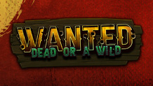 Wanted Dead or a Wild